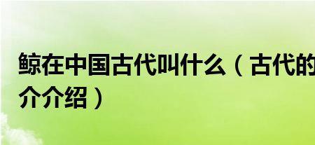 古代的鲸刑是啥意思
