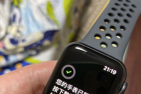 apple watch s3有蜂窝版本吗