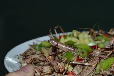蚂蚁油炸后能吃吗