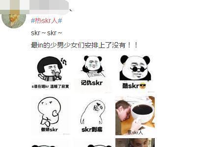 skr人才什么意思