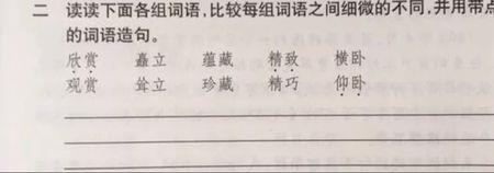 轻微略微意思的词语
