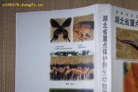 八个重点保护动物