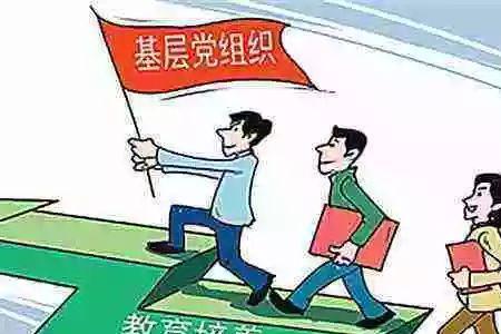 什么是党的组基础组织