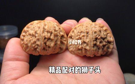 九龙筋狮子头是高货吗