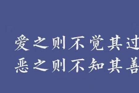 恶之则不知其善 读音