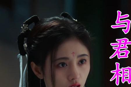 与君共什么意思