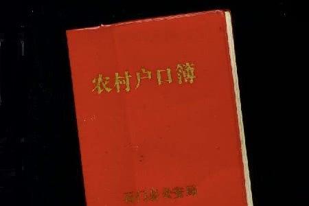 乡镇非农业户口算农村户籍吗
