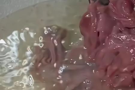 猪肝胶有几种玩法