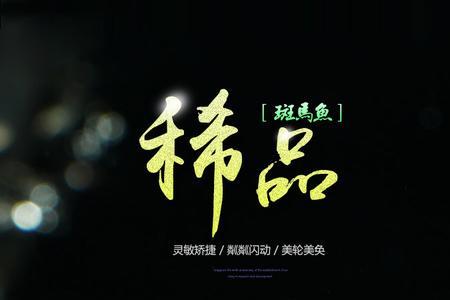斑马鱼和红金鱼能一起养吗