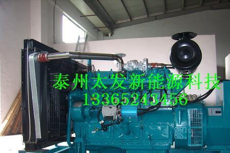 什么是生物质发电机