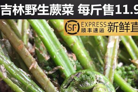 山糜子和山葱区别