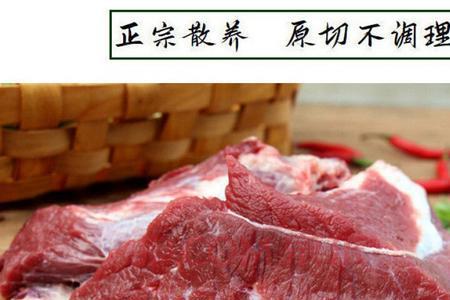 牛柳肉和牛腱子哪个好