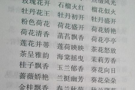 鲜艳是表示颜色的词吗