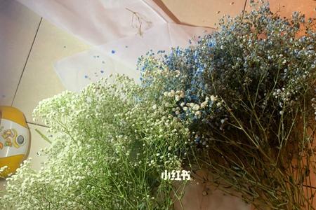 满天星和尤加利叶怎么醒花