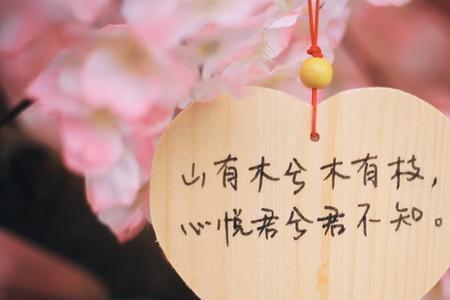看淡从容的含义