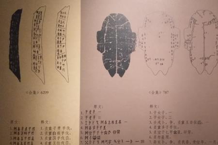 博物馆的博的形近字