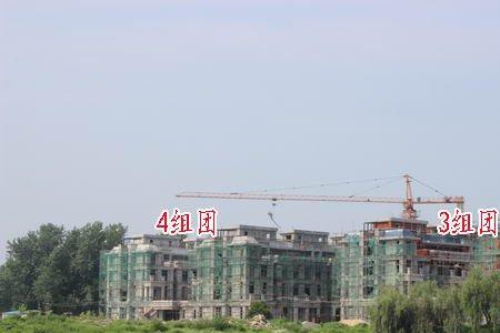 森林屿麓是什么