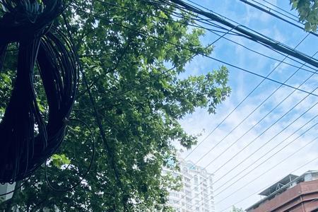 上海静宜路属于哪个区