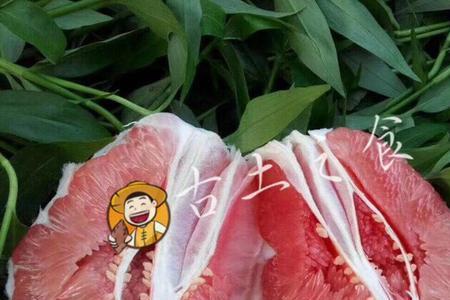 红心柚的牌子咋写