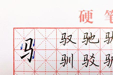 寒上部首下边加个马字念什么