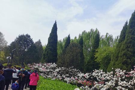 济南的百花公园从哪个门进
