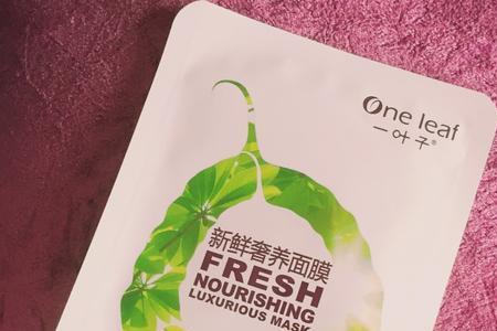 一叶子男士面膜好用吗