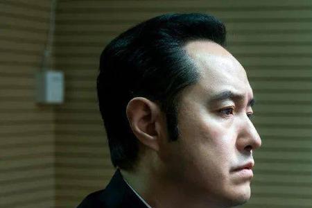 巡回检察组刘天佐是什么角色