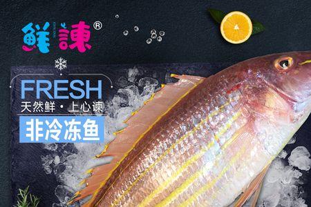红杉鱼跟三线鱼是一样的吗