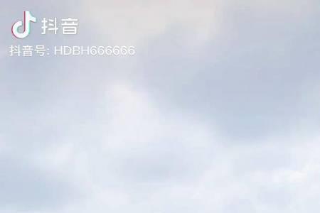 黑坑盘老板是什么意思