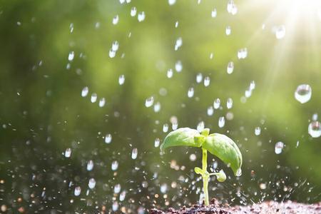 晴天下雨下一句是什么