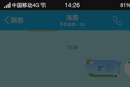 苹果手机用转接器开麦没效果