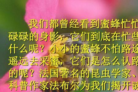 三年级蜜蜂怎么辨别方向