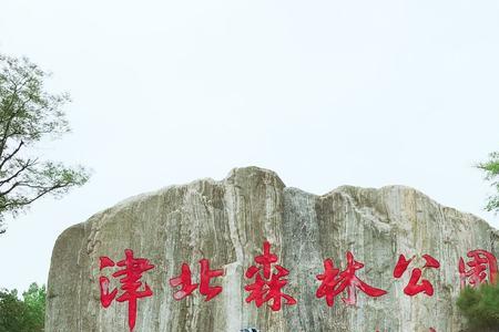 津北森林公园开门了吗