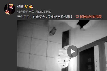 蹲家是什么意思