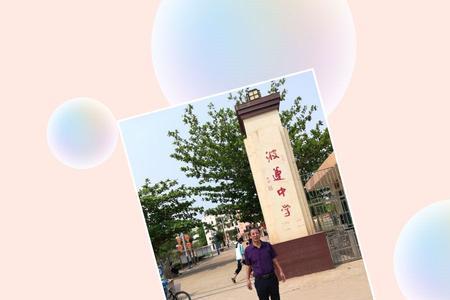 尽自己的一份绵薄之力什么意思