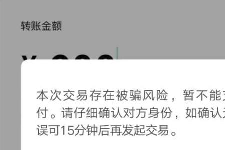 延迟转账待结算资金是什么意思