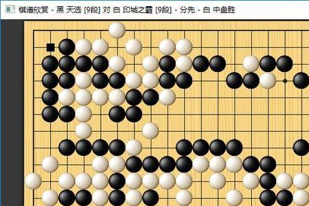 围棋10段是什么概念