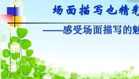 什么是点面描写