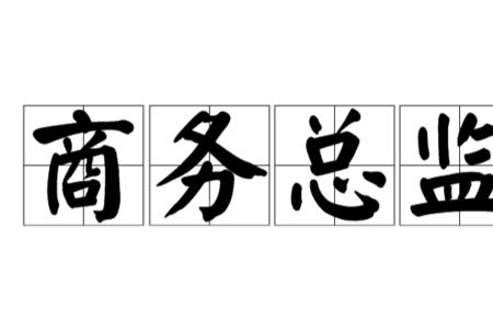 bu总监什么意思