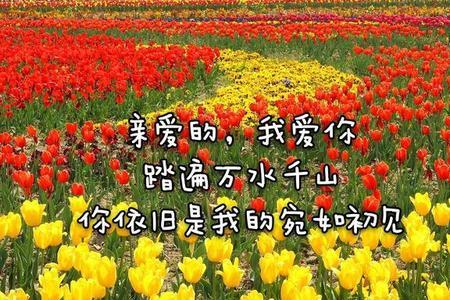 恰逢于你什么意思