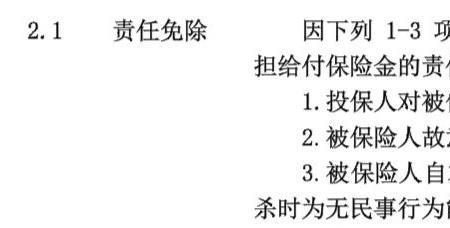 保外是什么意思