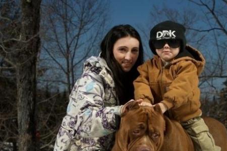 养比特犬的人什么性格