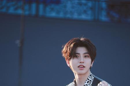 兔兔塔是什么梗