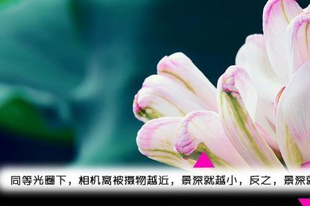 如何减少景深