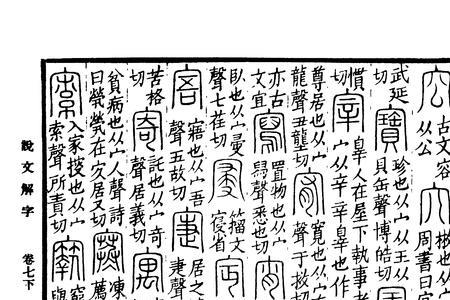 寡代表单还是双