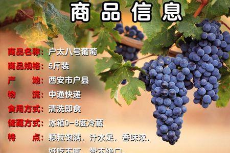 户太八号葡萄冬季何时浇灌