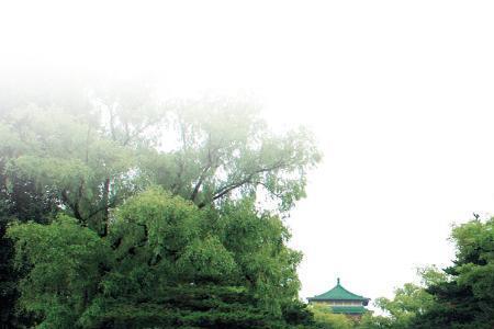 吉林市江北有哪些大学