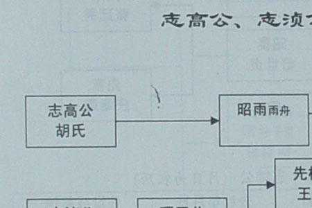直系和世系的区别