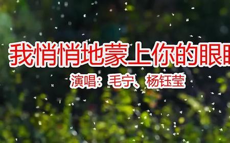 把你悄悄放心里的歌名