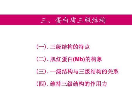 维持蛋白质结构稳定的主键是